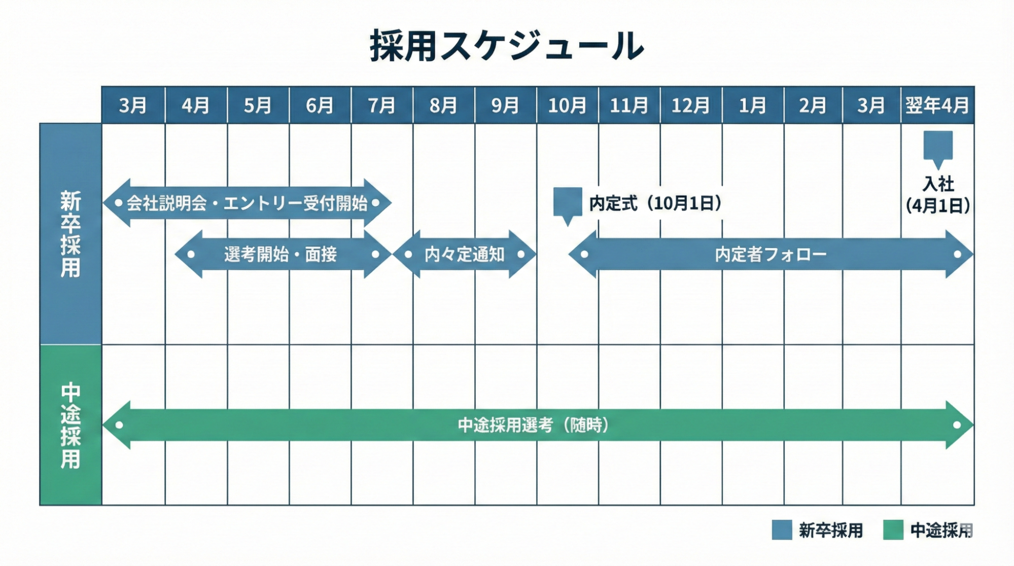 新卒採用のスケジュール例