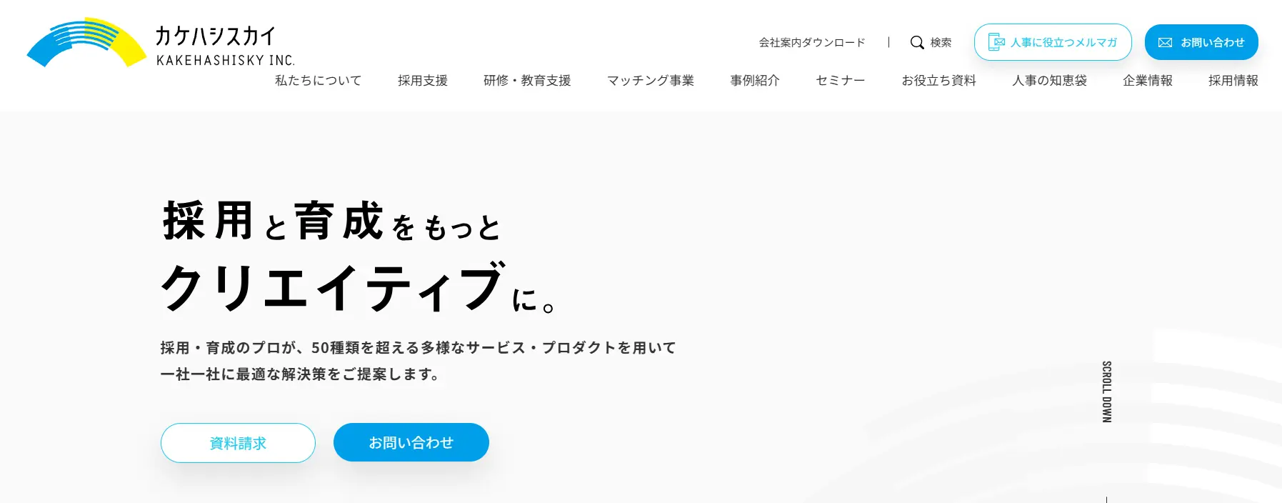 カケハシ スカイソリューションズ