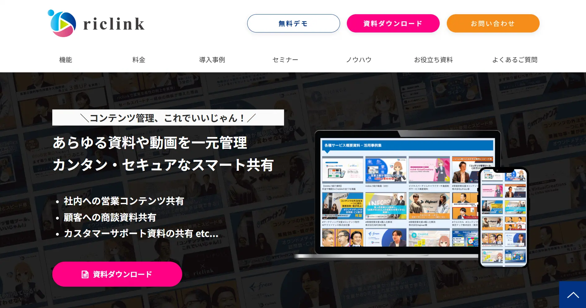 riclink